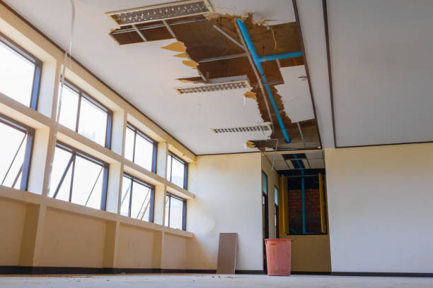 Best Water damage restoration company  in Sansom Park, TX