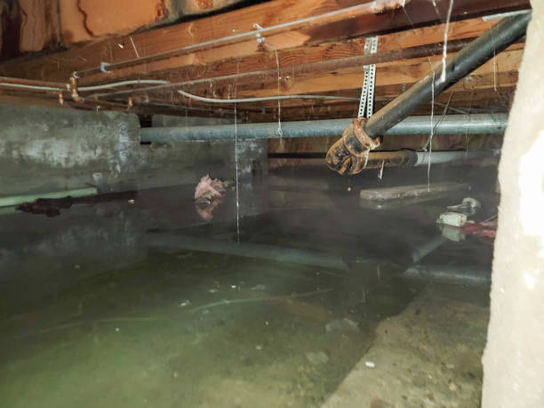 Best Basement water damage restoration  in Sansom Park, TX