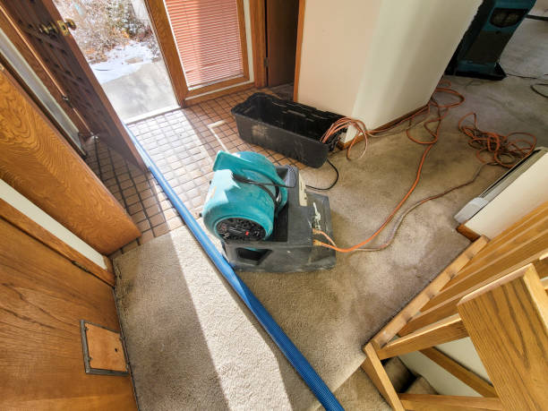 Best Residential water damage restoration  in Sansom Park, TX