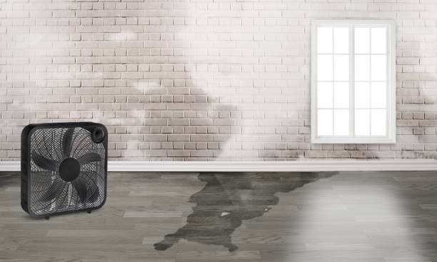 Best Residential water damage restoration  in Sansom Park, TX