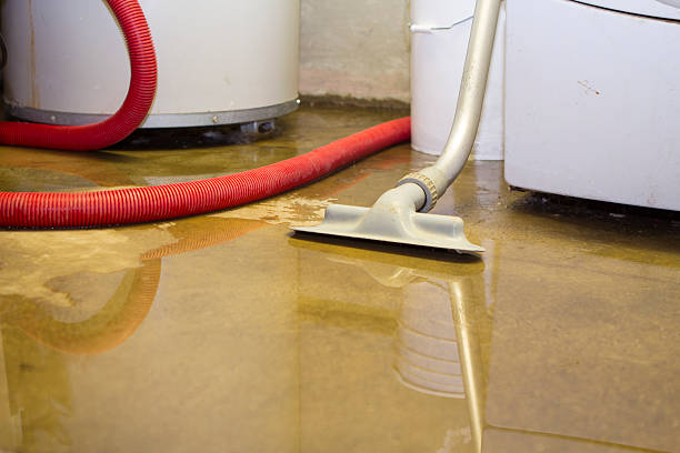 Best 24-hour water damage restoration  in Sansom Park, TX