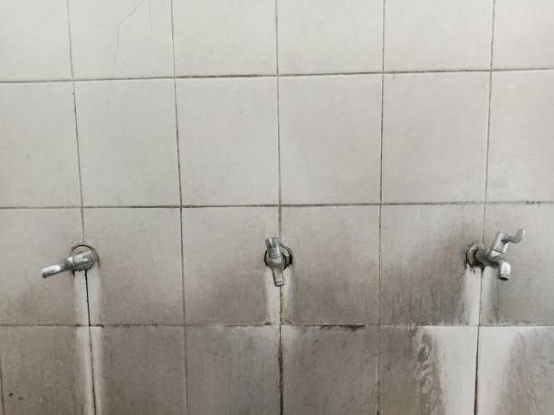Best Commercial water damage restoration  in Sansom Park, TX
