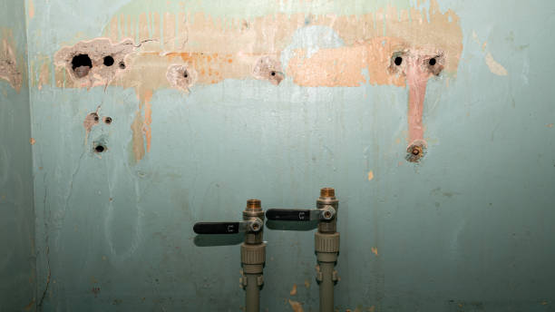 Best Local water damage restoration  in Sansom Park, TX