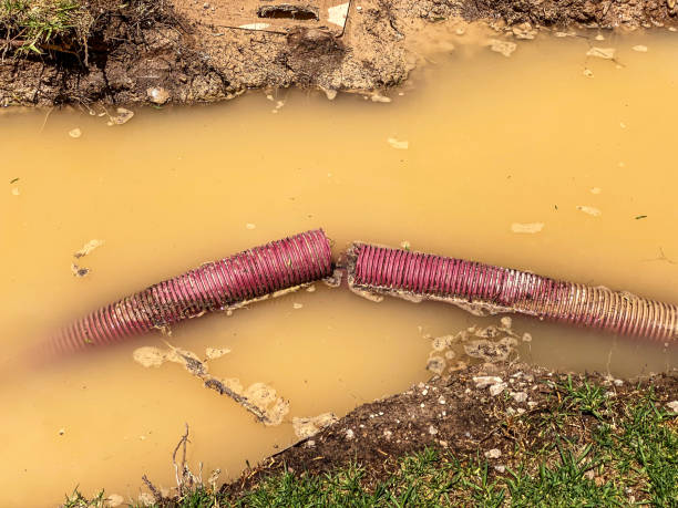Best Water damage restoration specialists  in Sansom Park, TX