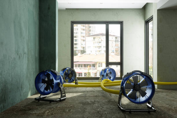 Best Sewage cleanup and water damage restoration  in Sansom Park, TX