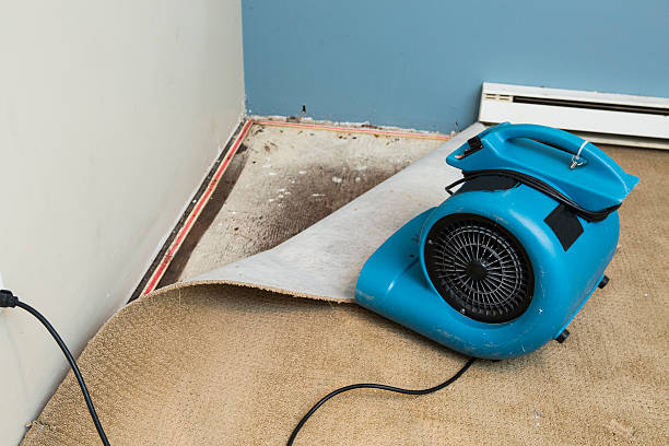 Best Mold removal after water damage  in Sansom Park, TX